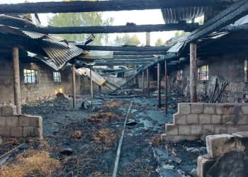Pożar budynku gospodarczego w Kobylnicy