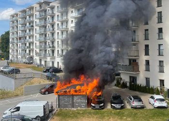 Elbląg: Podpaliła 11 wiat śmietnikowych. Została zatrzymana