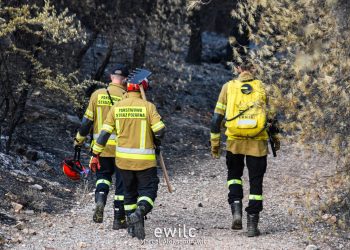 Powołano moduł GFFF Poland. Niebawem będzie sprzęt