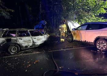 Czołówka i pożar na drodze wojewódzkiej nr 352
