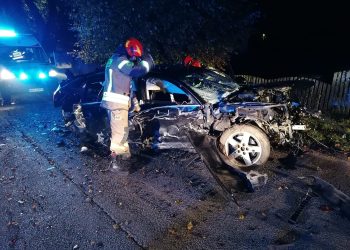 Audi w drzewa. Pięć osób rannych w wypadku