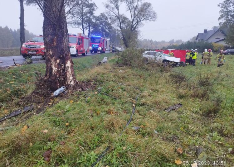 foto. KP PSP Zgierz