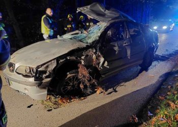 Pijany kierowca jazdę zakończył w przydrożnym rowie