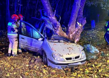 Wypadek w Toruniu. Kierowca miał dużo szczęścia