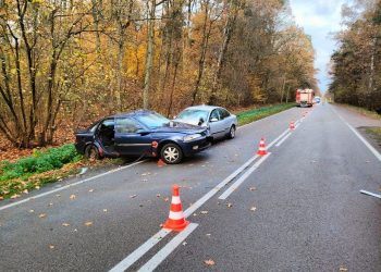 Śmiertelny wypadek na drodze wojewódzkiej nr 813