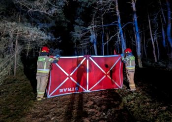 Wybuch w lesie. Jedna osoba nie żyje