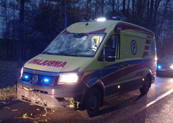 Karetka najechała na drzewo. Pacjent nie żyje
