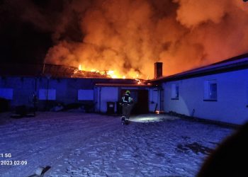 Pożar w Starym Polichnie. Spłonęły indyki