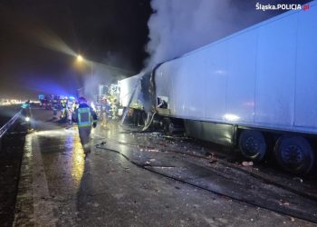 Zderzenie pięciu ciężarówek. Jedna osoba nie żyje