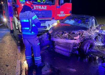 Śmiertelny wypadek na trasie Ciechanów – Płońsk