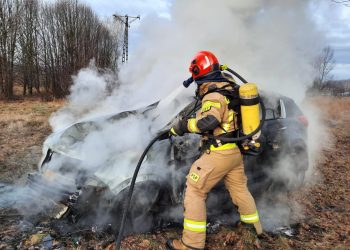 Wypadek na DK-42 w Dębie