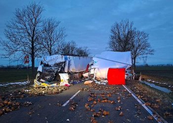 Wypadek na drodze krajowej nr 22. Są ofiary