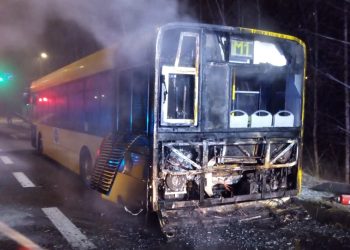 Pożar miejskiego autobusu w Rudzie Śląskiej