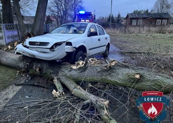 Wiatr, deszcz i podtopienia. Setki interwencji strażaków