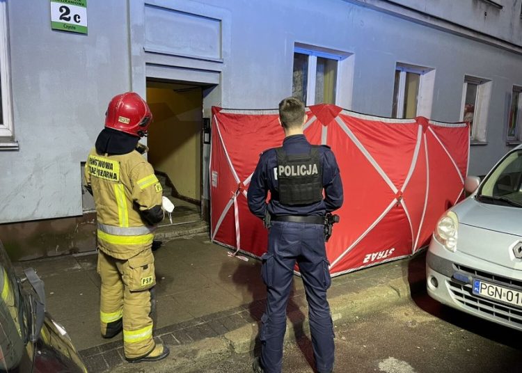 foto. policja