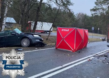 Śmiertelny wypadek na DK57 w miejscowości Goski-Wąsosze