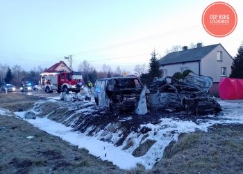 Tragiczne zderzenie na DW704 niedaleko Łowicza