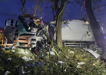 Wypadek na DW106. Ciężarówka uderzyła w drzewo