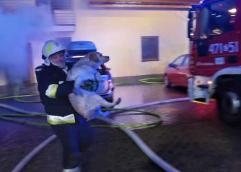 Nocny pożar domu w miejscowości Olszyna