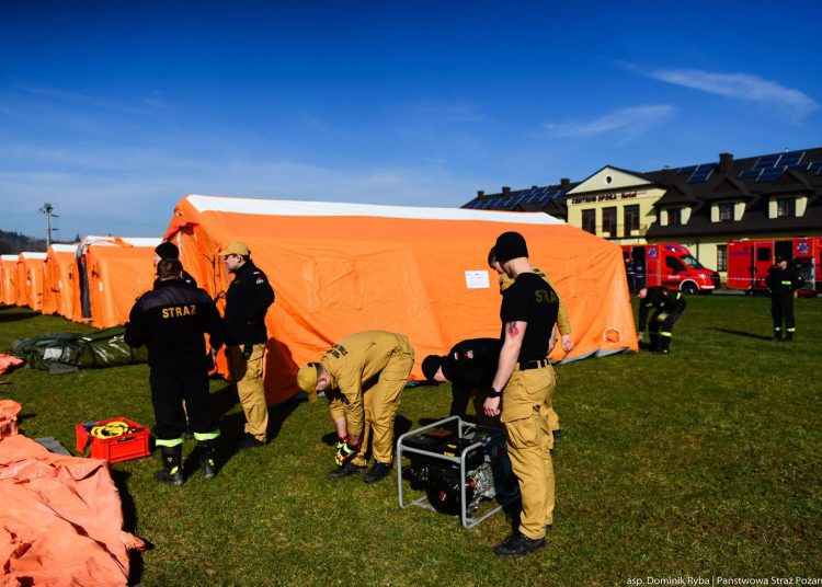 foto. asp. D.Ryba/PSP