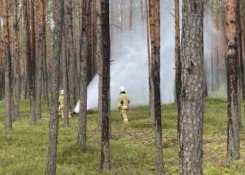 Ćwiczenia straży pożarnej pk. OŁDAKOWIZNA 2024