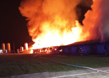 Pożar fermy drobiu. Spłonęło tysiące kurcząt