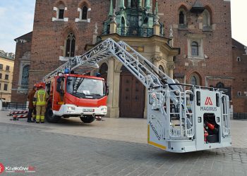 Pięć drabin dla lubelskiej PSP. Ruszył przetarg