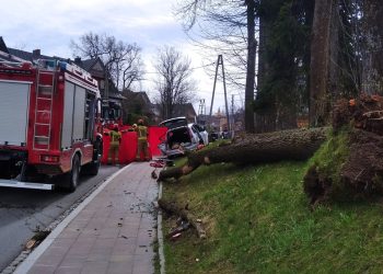 Zakopane. Drzewo spadło na samochód, nie żyje kobieta