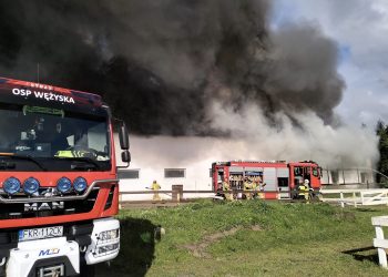 Pożar stadniny koni w Bronkowie