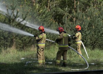 Ćwiczenia straży pożarnej na terenie leśnictwa Przyborów
