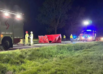 Wypadek pod Oleśnicą. Dwie osoby spłonęły