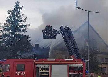 Pniewy: Pożar opuszczonej hali tartaku
