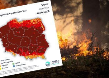 Ekstremalne zagrożenie pożarowe w lasach