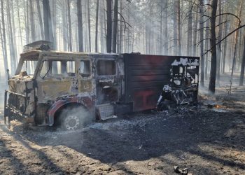 Trudna sytuacja w lasach. Ponad 300 strażaków w akcji