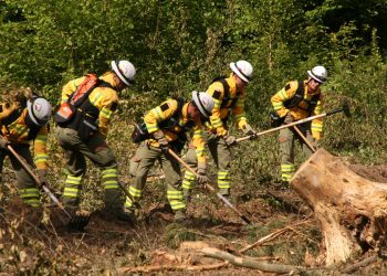 Strażackie ćwiczenia pk. ‘GFFF lubelskie 2024’
