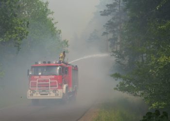 Pożar lasu w Snochowicach