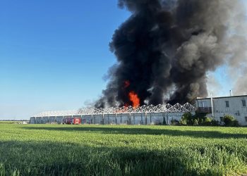Pożar kurnika w miejscowości Dobieżyn 