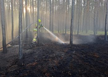 Spory wzrost liczby pożarów w lasach