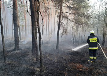 Pożar w gminie Tuczna. Ponad 60 zastępów w akcji