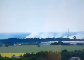 Pożar przy torach kolejowych w powiecie garwolińskim