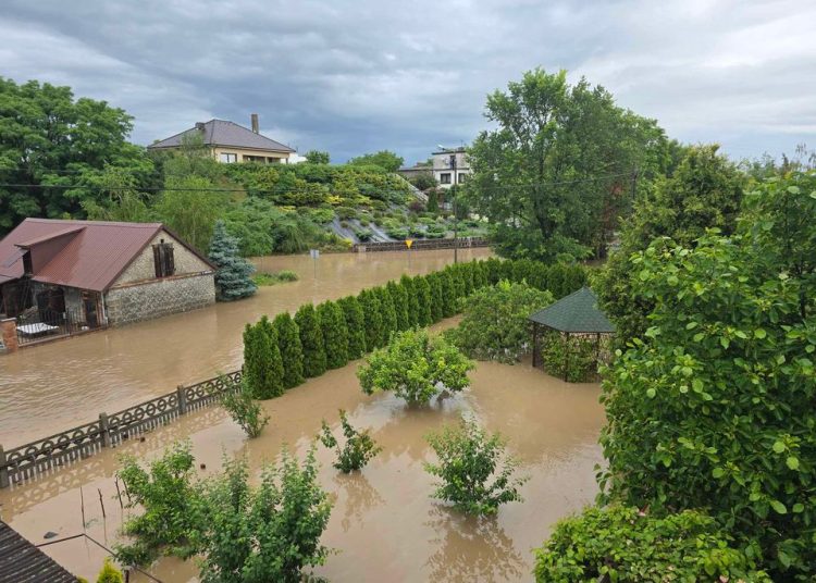 foto. Mateusz Pietrzak - Kaliski Łowca Burz