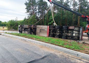 Ciężarówka z krowami na boku. Jedno zwierzę potrącili strażacy