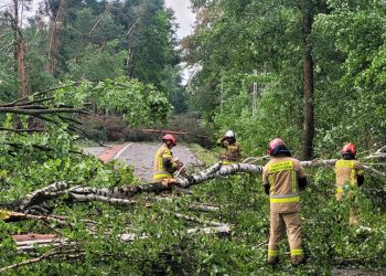 Burze nad Polską. Prawie 2,5 tys. interwencji strażaków