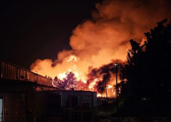 Pożar zakładu stolarskiego w Gnieźnie