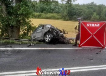 Śmiertelny wypadek na DK 94 w miejscowości Czajowice