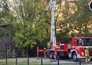 Pożar pustostanu w Grodzisku Mazowieckim