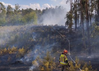 Pożar 108-letniego lasu w gminie Ciechocin