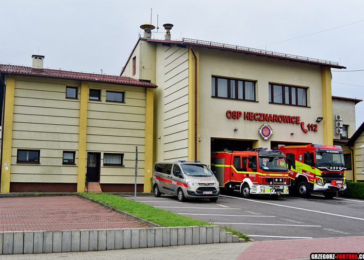 foto. Grzegorz Fortuna