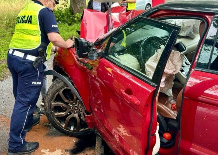 foto. policja