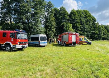 Drzewo przygniotło mężczyznę. Tragedia pod Łomżą